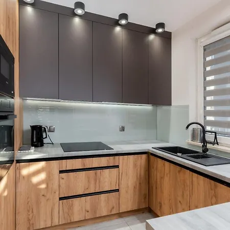 Apartment Romanowicza Elegant Place Krakow